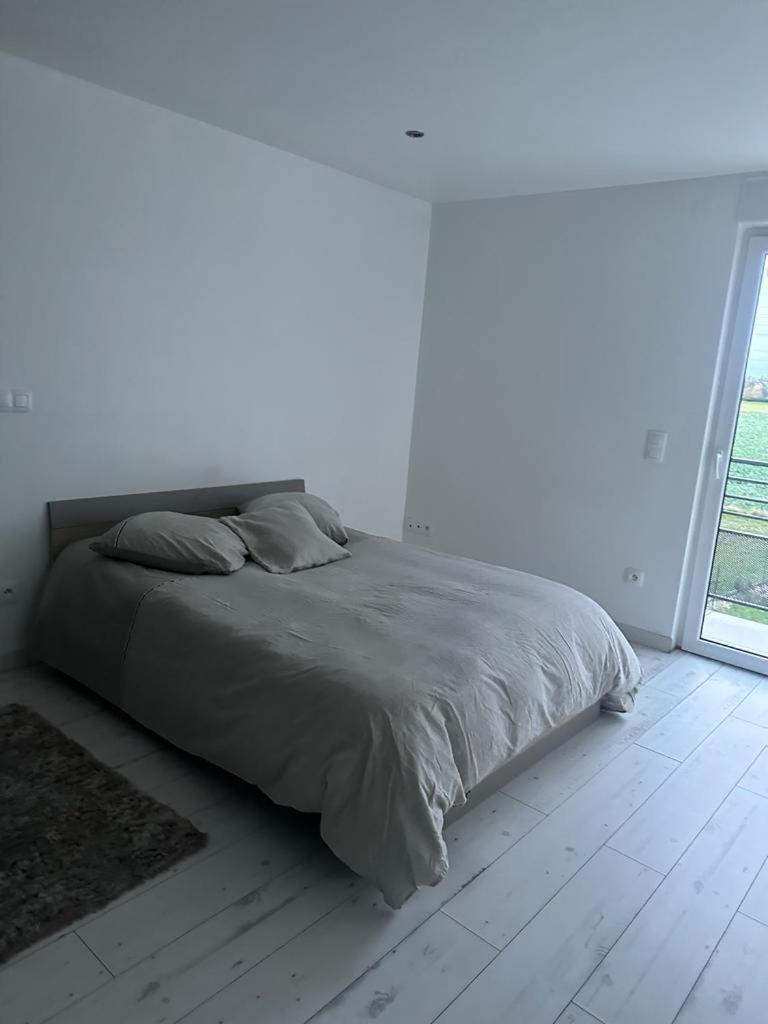 Residence Foch Lingolsheim Exterior foto